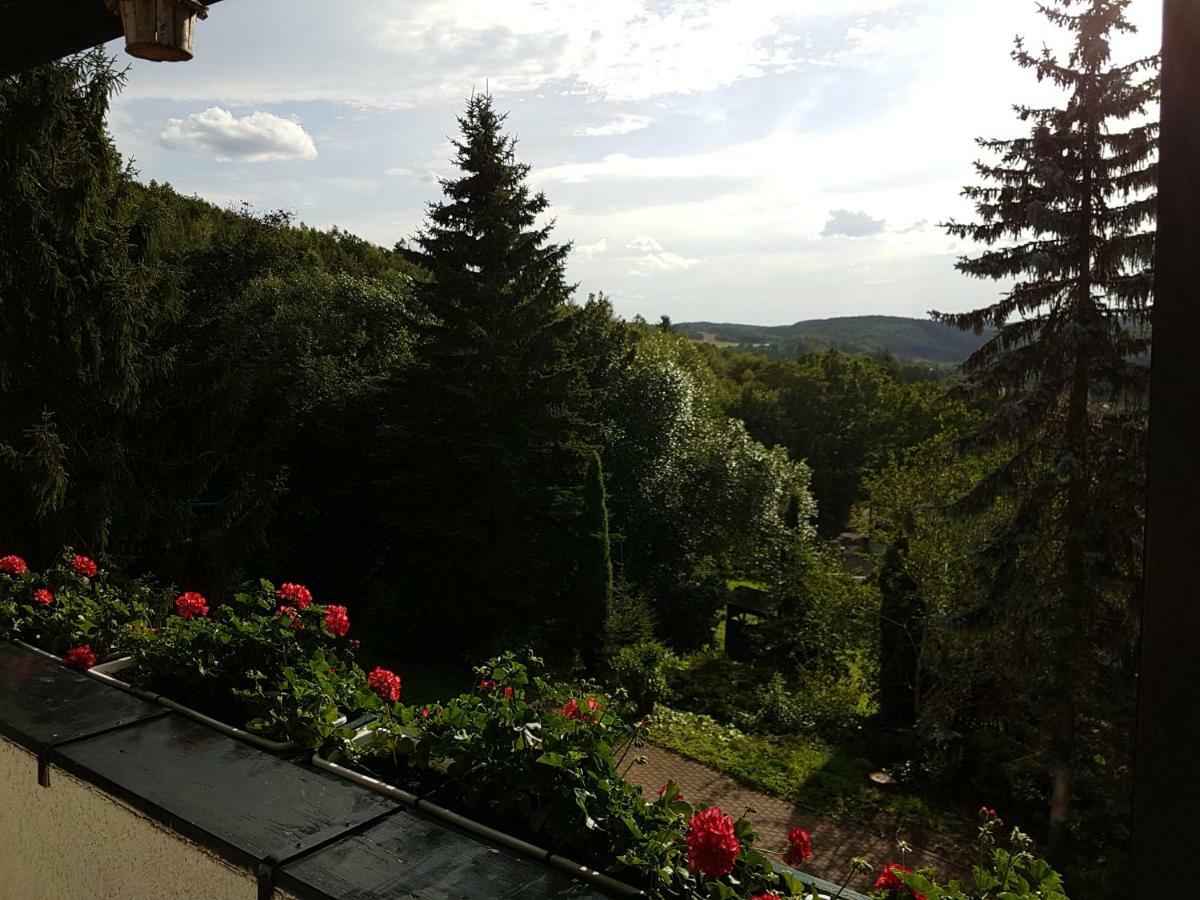 Schweizer Haus Wippra Appartement Buitenkant foto
